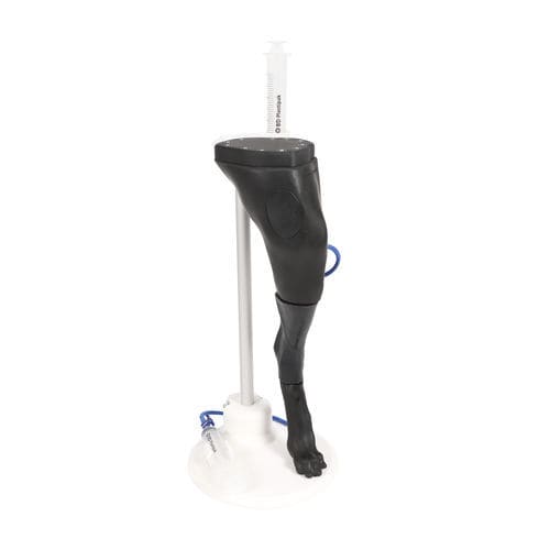 采血用模拟器 - VET4680 - Erler-Zimmer - 静脉穿刺 / 兽用 / 犬类