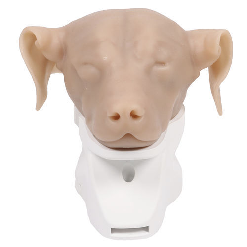 培训模拟器 - VET4670 - Erler-Zimmer - 耳镜检查 / 兽用 / 犬类