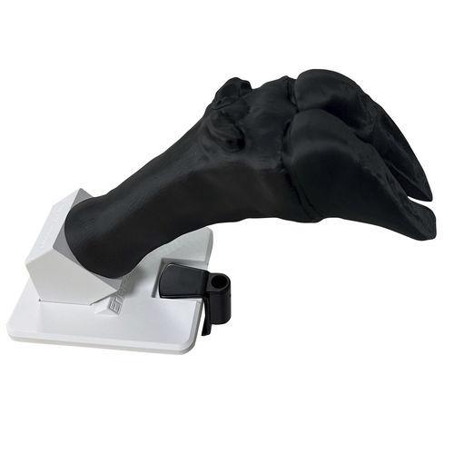 绷带包扎模拟器 - VET4900 - Erler-Zimmer - 培训 / 兽用 / 牛