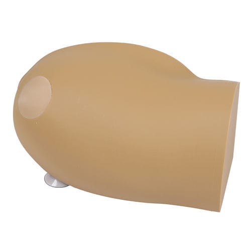 穿刺模拟器 - 7780 - Erler-Zimmer - 骨内注射 / 培训 / 一般护理