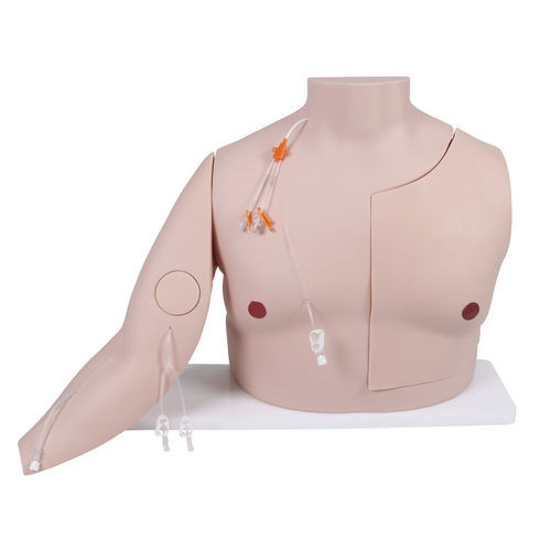 进入血管模拟器 - 7650 - Erler-Zimmer - 中央静脉导管插入 / 培训 / 一般护理