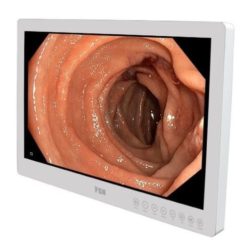 医用显示器 - FS-E2101D - FSN Medical Technologies/费斯托 - 内窥镜 / HD（高清） / 21.5"