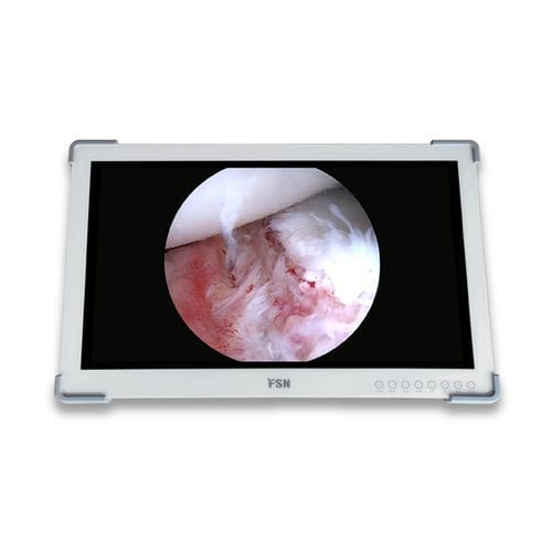 医用显示器 - FS-L2702D - FSN Medical Technologies/费斯托 - 手术室 / HD（高清） / 27"