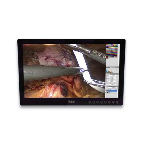 医用显示器 - FS-E2101DT - FSN Medical Technologies/费斯托 - 内窥镜 / HD（高清） / 21.5"