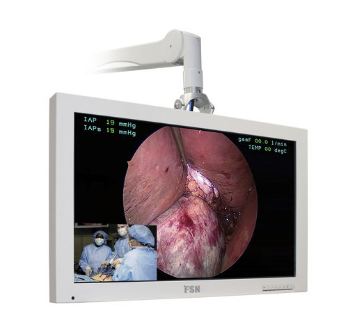 诊断显示器 - FS-L3202D - FSN Medical Technologies/费斯托 - 内窥镜 / 手术 / 全高清Full HD