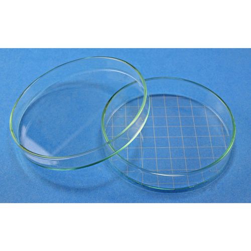 玻璃有盖培养皿 - 41044   - Glaswarenfabrik Karl Hecht - 带计数网格