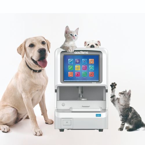 自动临床化学分析仪 - Q-Vet - Goldsite Diagnostics Inc. - 兽用 / 台式 / 带电解质分析仪