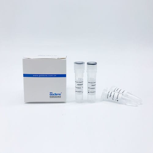 缓冲溶液试剂套装 - Goldsite Diagnostics Inc. - DNA聚合酶 / 逆转录酶 / 核酸