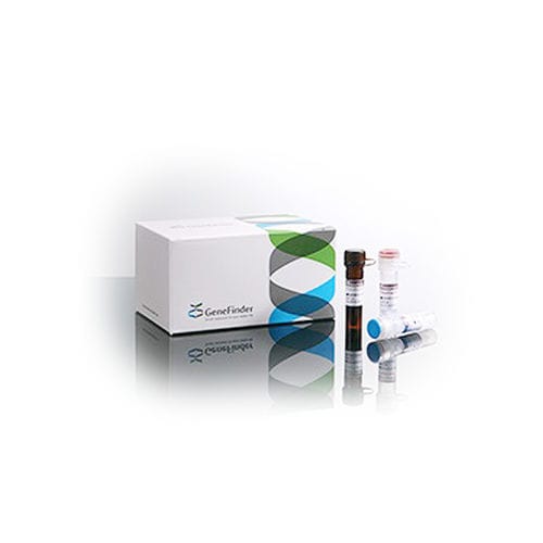 风湿性疾病快速诊断套装 - GeneFinder™ - OSANG Healthcare/韩国OSANG Healthcare - HLA-B27 / 血液总量 / 用于实时PCR