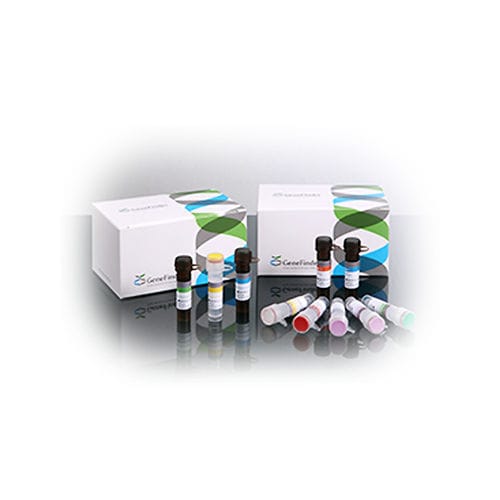 传染病快速诊断套装 - GeneFinder™  - OSANG Healthcare/韩国OSANG Healthcare - 宫颈癌 / 肿瘤科 / HPV