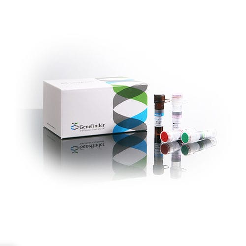 结核病快速诊断套装 - GeneFinder™  - OSANG Healthcare/韩国OSANG Healthcare - 结核杆菌复合体 / 结核分枝杆菌 / 分枝杆菌