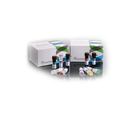 登革热快速诊断套装 - GeneFinder™ - OSANG Healthcare/韩国OSANG Healthcare - 曲弓热 / 传染病 / 血清