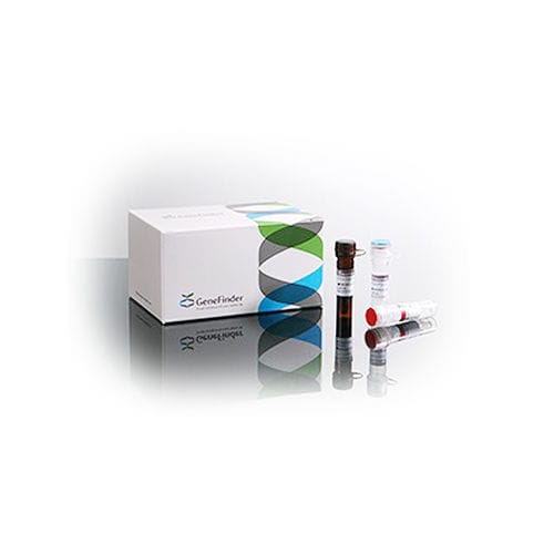 炎性疾病快速诊断套装 - GeneFinder™ - OSANG Healthcare/韩国OSANG Healthcare - 用于HLA-B基因 / 血液总量 / 环境
