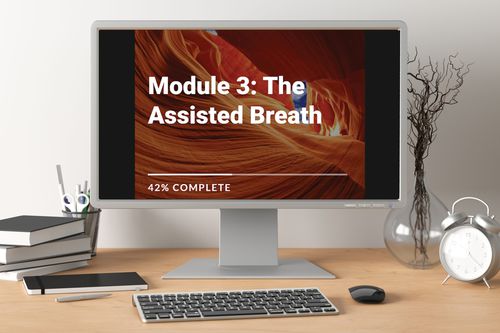 分析软件 - RespiSim eLearning - IngMar Medical - 管理 / 培训 / 教学用