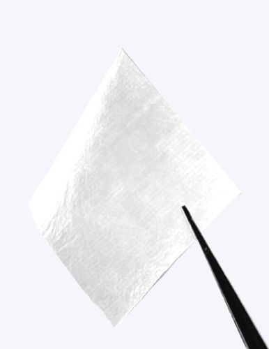 同种异体移植组织基质 - AmnioExcel® - Integra LifeSciences - 重建手术