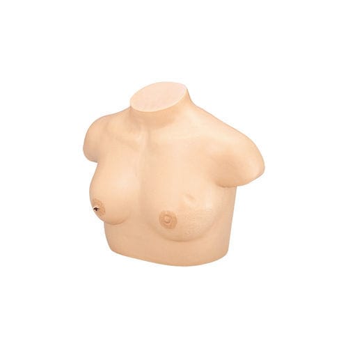 妇科护理医学教学模型 - LM-018 - KOKEN  - 触诊 / 女性 / 乳房