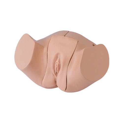 插管模拟器 - LM-109F - KOKEN  - 解剖学 / 女性 / 成人