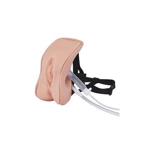 插管模拟器 - LM-109FA - KOKEN  - 灌肠 / 用于妇科护理 / 女性