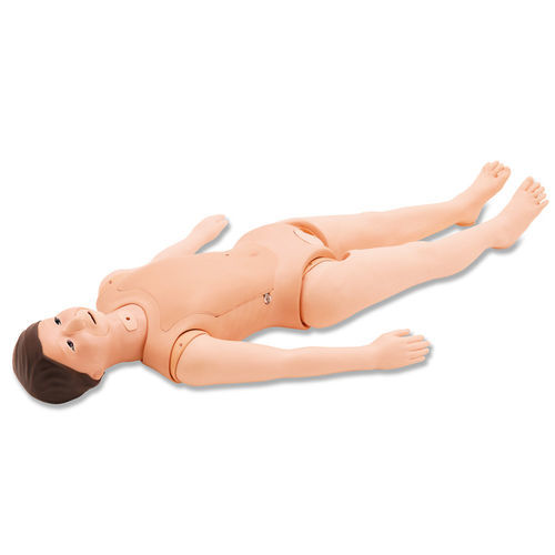 培训模拟器 - M56A/B - Kyoto Kagaku  - 用于插管 / 用于气管切开术 / 营养