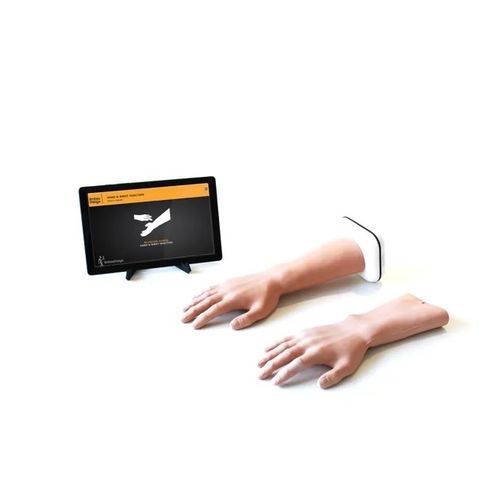 注射模拟器 - 70230 - Limbs & Things - 培训 / 一般护理 / 手