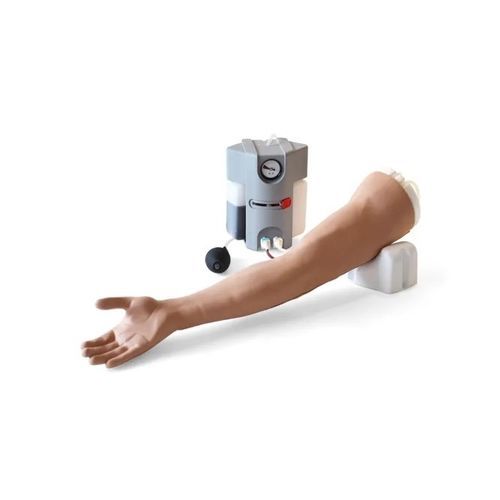 静脉穿刺模拟器 - 70300 - Limbs & Things - 用于静脉注射 / 输液 / 培训