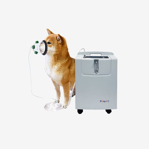 兽用氧气浓缩器 - NW-5KW - Longfian Scitech Co., Ltd - 带滑轮 / PSA / 多功能