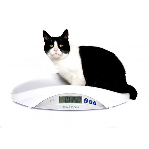 电动兽用秤 - V-22 - Marsden Weighing Machine Group - 用于小型动物 / 平台 / 便携式