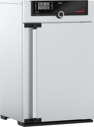 强制对流实验室培养箱 - IF75m - Memmert GmbH + Co. KG/美墨尔特 - 医用 / 台式 / 不锈钢