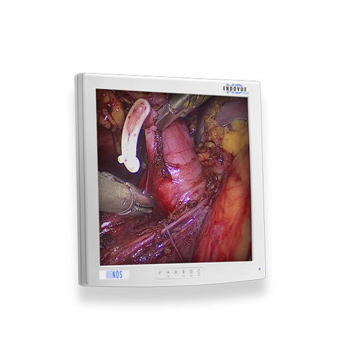 医用监视器 - EndoVue®Plus - NDS Surgical Imaging - 内窥镜 / 手术 / 高解析度