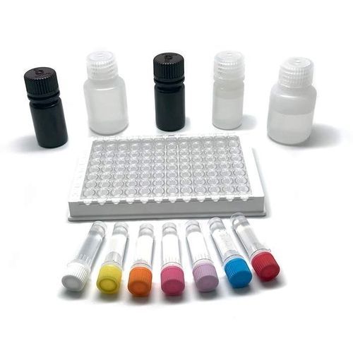 食品不耐受快速诊断套装 - FOOD-1013-02F - PerkinElmer - 用于食品安全 / ELISA / 酶免疫测定