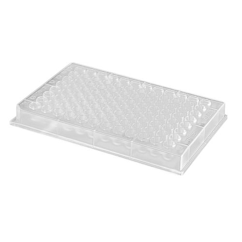 实验室微孔板 - riplate® 96 - Ritter Medical - 荧光 / 用于样品存储 / 96孔