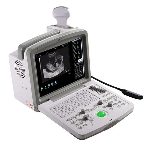 兽医超声波检查仪 / 便携式 - WED-160V - Shenzhen Well.D Medical Electronics - 多功能 / 马科动物 / 猪用