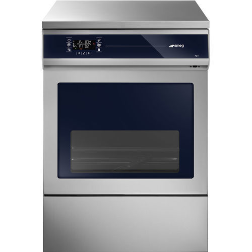 医疗机构清洗消毒机 - WD4260-SC-00G - SMEG Instruments - 实验室 / 用于生命科学 / 用于器械