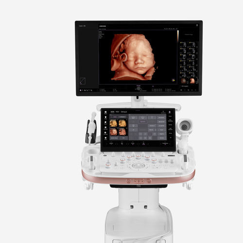 超声工作站 - HERA Z20 - Samsung Healthcare Germany/三星 - 妇产科用超声成像 / 黑白 / 彩色多普勒