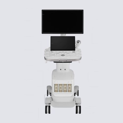 超声工作站 - R20 - Samsung Healthcare Germany/三星 - 用于多功能超声检查 / 彩色多普勒 / 黑白