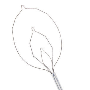肠道息肉摘除取石网篮 - ISNARE™ - STERIS - 直线型