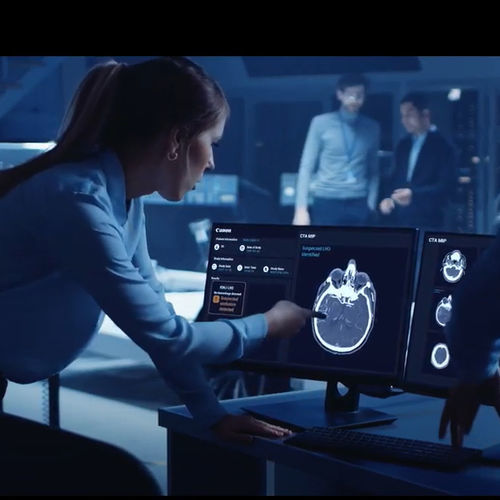 临床软件 - Canon Medical Systems Europe - 用于放射学 / 分析 / 加工