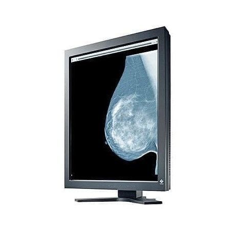 医用显示器 - GS520 series - Ultra-Viol - 乳腺造影 / 高解析度 / 21.3"