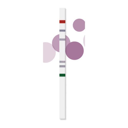 血栓形成试剂带 - RealFast™ - ViennaLab Diagnostics  - 维生素 / 基因 / 血液