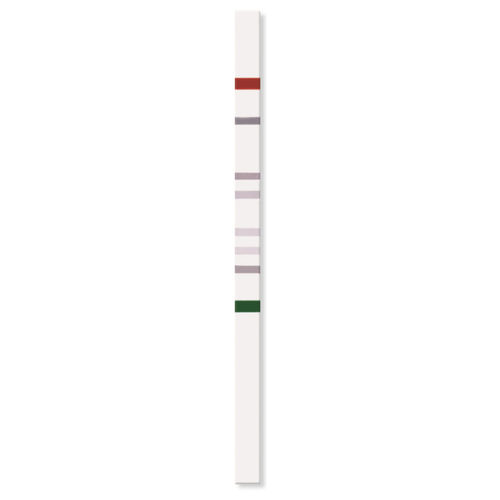 基因突变试剂带 - PGX-TPMT StripAssay® - ViennaLab Diagnostics  - TPMT 式 / 基因 / 铅