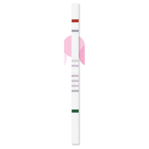 糖分不耐受试剂带 -  StripAssay® - ViennaLab Diagnostics  - 醛缩酶 / 基因 / 果糖