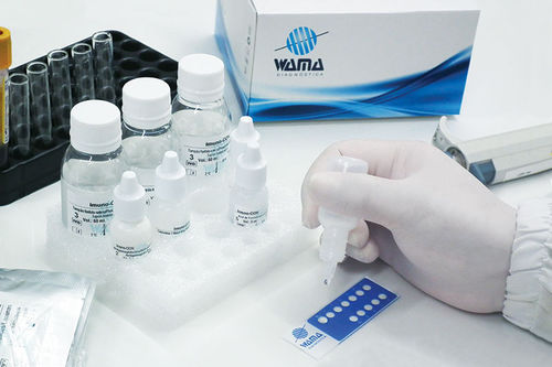 溶液试剂 - Wama Diagnostica - 临床 / ANA HEp-2 / 刚地弓形虫