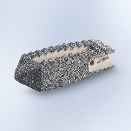 腰椎间融合器 - PROSPACE®XP - Aesculap® - 后入路