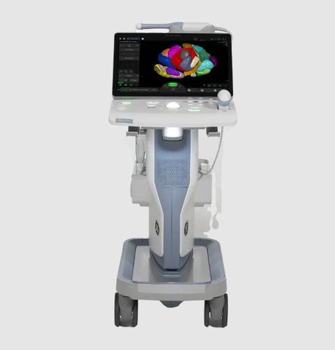 紧凑型平台B超机 - Voluson™ SWIFT - GE Healthcare/通用 - 妇产科用超声成像 / 黑白 / 彩色多普勒