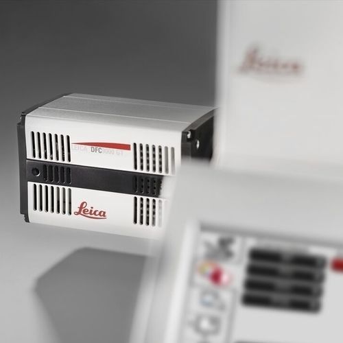 显微镜摄像机 - DFC9000 - Leica Microsystems/徕卡显微镜系统 - 数字 / CMOS / 荧光