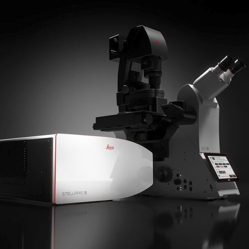 光学显微镜 - STELLARIS series - Leica Microsystems/徕卡显微镜系统 - 实验室 / 用于生命科学 / FLIM
