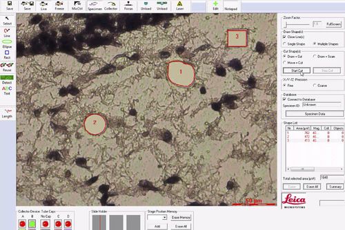 医用软件 - LMD   - Leica Microsystems/徕卡显微镜系统 - 实验室 / 用于数字显微镜 / 分析