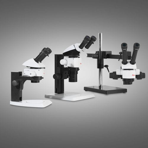光学立体显微镜 - M series - Leica Microsystems - 实验室 / 用于研究 / 检查
