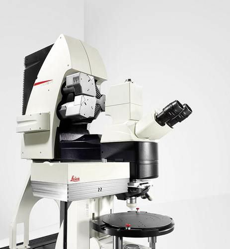 数字显微镜- TCS SP8 MP - Leica Microsystems/徕卡显微镜系统- 红外