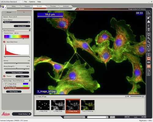 医用软件 - LAS Image Overlay - Leica Microsystems/徕卡显微镜系统 - 实验室 / 用于数字显微镜 / 可视化